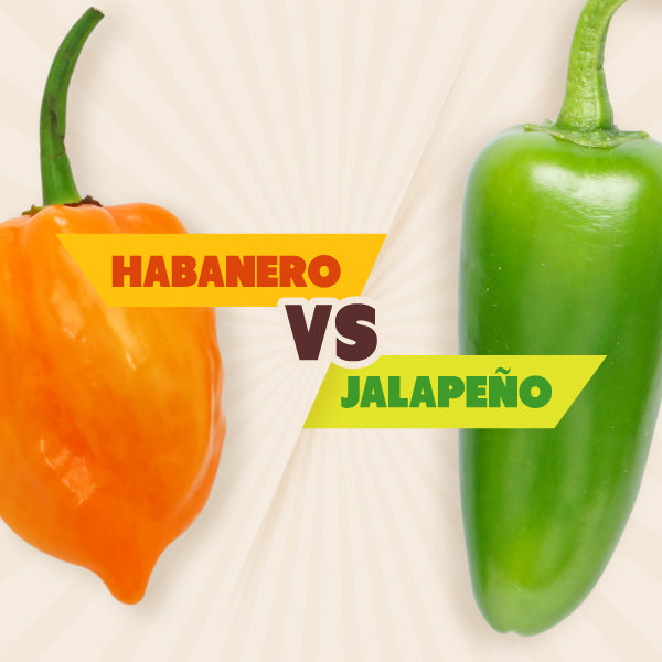 Spicy Showdown: Navigating the Heat of Habanero vs. Jalapeño