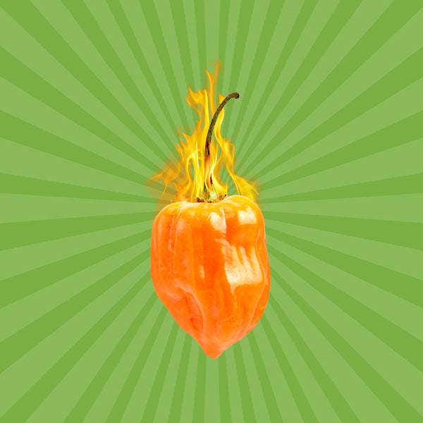 The Fiery Flavor of Habanero Peppers: A Balance of Heat and Taste