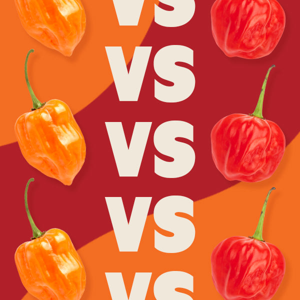 Battle of the Heat: Scotch Bonnets vs. Habanero Peppers